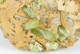 Lustrous, Yellow Apatite Crystals In Calcite & Feldspar - Morocco #185473-1